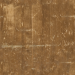 Thumbnail Wood02_1K_BaseColor.png (75x75)